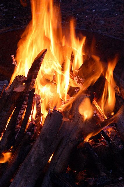 ♪♪ Fires burning, fires burning, draw nearer ♪♪ Cozy Campfire, Image Bleu, Fire Flames, Fire Image, Fire Photography, Fire Element, Light My Fire, Fire Glass, Fire And Ice