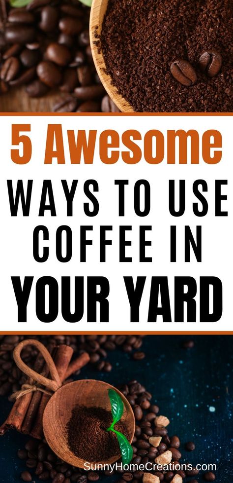 Coffee Grounds Garden, How To Repel Flies, Kill Mosquito Larvae, Coffee Grounds As Fertilizer, Repel Flies, Used Coffee Grounds, Plants That Repel Bugs, Solar Punk, Coffee Grain