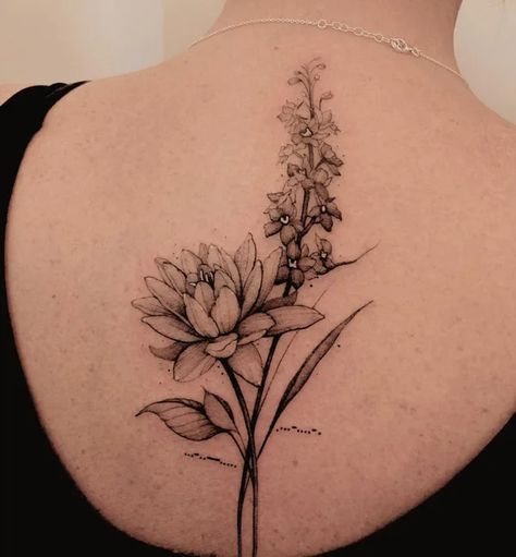 https://allabouttattoo.com/wp-content/uploads/2023/02/Larkspur-and-water-lily-tattoo.webp Larkspur Flower Tattoo Sleeve, Water Lilly And Larkspur Tattoo, July Inspired Tattoos, Aster And Water Lily Tattoo, Delphinium And Water Lily Tattoo, Water Lily Forearm Tattoo, Larkspur And Waterlilly Tattoo, Waterlily Larkspur Tattoo, Water Lily And Larkspur Tattoo Design