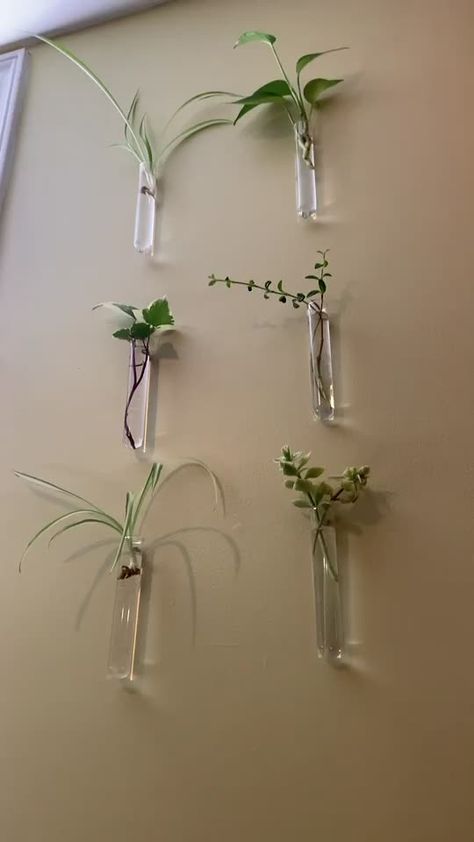 Hanging Plant Pots Indoor, Hanging Plant Pots, Pot Gantung, Wall Hanging Plant, Tanaman Indoor, نباتات منزلية, Hanging Plants Indoor, Deco Nature, Dekor Diy