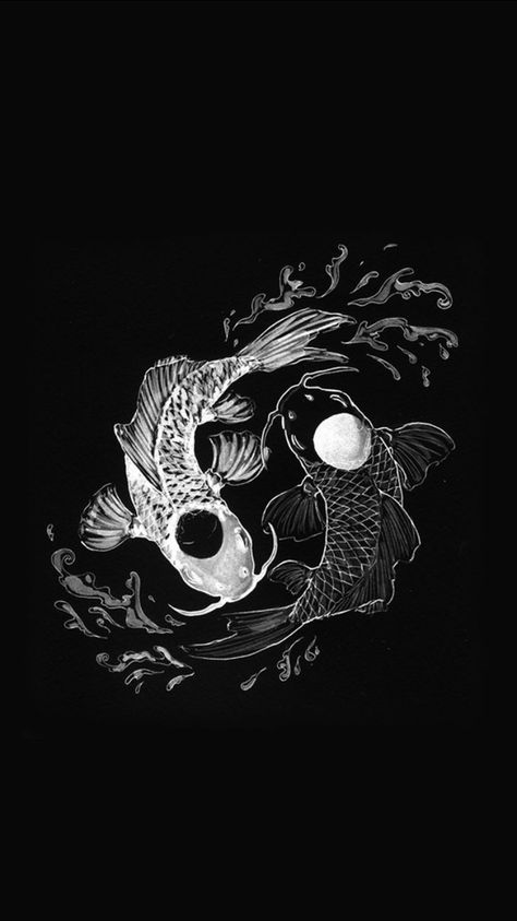 Yin Yang Koi Fish Fish Swimming, Koi Fish, Yin Yang, Koi, Swimming, Fish, Black And White, Water, White