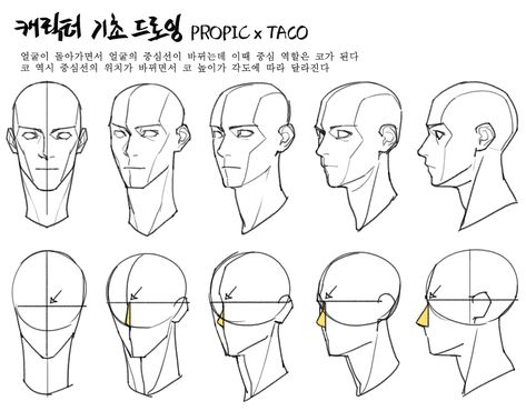 Head Anatomy, Drawing Heads, Face Drawing Reference, 얼굴 그리기, Manga Drawing Tutorials, Anatomy Sketches, Body Reference Drawing, Anatomy Drawing, Figure Drawing Reference