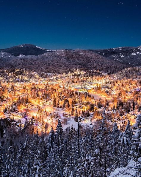 ***Rossland (Monashee Mountains, BC) by Ashley Voykin (@ashvoykin) on Instagram: “The view of Rossland last night from the top of the KC trail” A Very Merry Christmas, Mountain Town, Traffic Light, Mountain Resort, Happy Holiday, Very Merry Christmas, Ski Trip, Tourist Destinations, The View