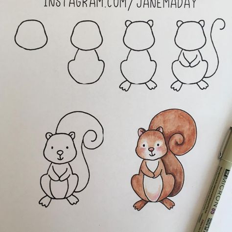 Jane Maday on Instagram: “Who wants to draw a squirrel? I have posted a video of this on my Facebook page Jane Maday Studio: Creative Bliss. Would love to know what…” Step By Step Squirrel Drawing, Fall Animal Drawing Easy, Squirrel Doodle Cute, Squirrel Doodle Easy, Draw Squirrel Easy, How To Paint A Squirrel, Drawing A Squirrel, How To Draw A Squirrel Easy, Cartoon Squirrel Drawing Easy