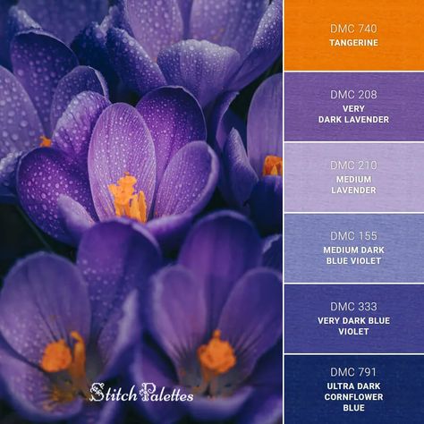 Purple Thread Color Chart Purple Flower Color Palette, Purple Matching Colors, Purple Pallete Color Combinations, Purple Combination Colors, Stitch Pallets, Peacock Color Palette, Purple Pallet, Flower Palette, Purple Combination