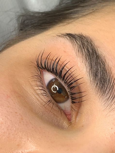 Eye Lash Photography, Eyelash Lift And Tint, Natural Fake Eyelashes, Eyelash Perm Kit, Lash Tint, Perfect Eyelashes, Eyelash Extentions, Eyelash Lift, Brow Lamination