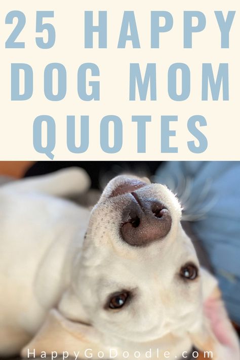 Get happy with these 25 feel-good dog mom quotes that we curated specifically with dog moms in mind. Each dog quote was chosen for its relevancy to living the dog mom lifestyle—from meaningful quotes about dog love to funny dog quotes. Give yourself a dog-loving smile and share one too! Quotes About Dogs As Family, I Love My Dog Quotes, Quotes About Dogs Love, Love My Dog Quotes, Dog Owner Quotes, A Girl And Her Dog Quotes, Inspirational Cat Quotes, Short Dog Quotes, Happy Dog Quotes