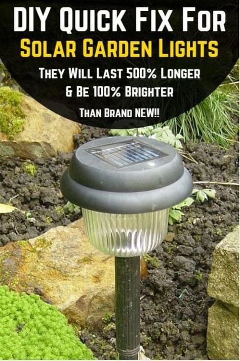 How To Repair Solar Garden Lights, Flower Garden Lights, Cheap Solar Lights, Solar Lights For Garden, Indoor Solar Lights, Solaire Diy, Garden Lighting Diy, Solar Yard Lights, Solar Lights Diy