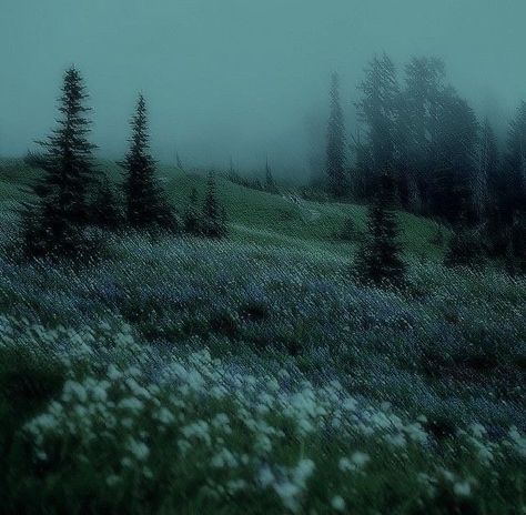 Abandoned Places In The World, Gloomy Forest Aesthetic, Night Aesthetic Nature, Wallpaper Layout, Light In Dark, Fairy Grunge Aesthetic, Dark Fairycore, Affiches D'art Déco, Dark Forest Aesthetic