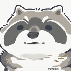 Fat Raccoon, Raccoon Drawing, Raccoon Art, Cute Sewing Projects, Cute Kawaii Animals, Cute Raccoon, Nintendo Art, Is It Just Me, Cute Animal Drawings Kawaii