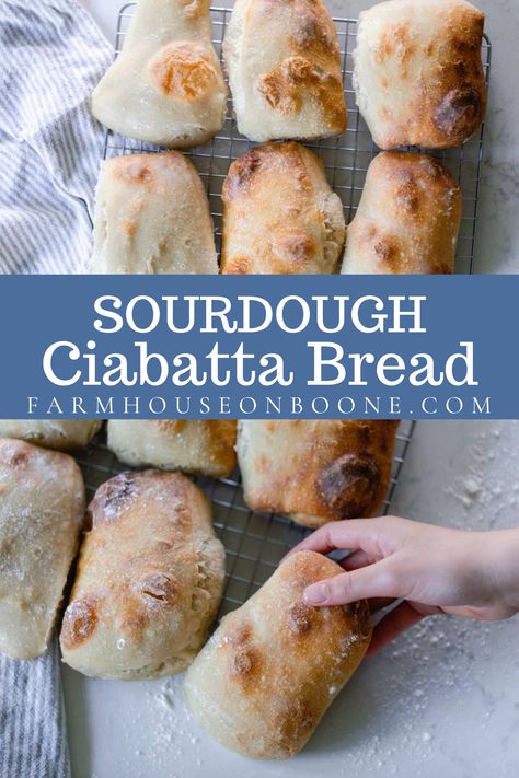 Irresistibly chewy, this sourdough ciabatta bread recipe has a deliciously addicting open crumb texture on the inside with a gently crisped outside. Dip in oil as an appetizer, or use this bread for your next sandwich lunch. Ciabatta Rolls Recipe, Sourdough Ciabatta, Ciabatta Bread Recipe, Ciabatta Rolls, Easy Sourdough Bread Recipe, Recipe Using Sourdough Starter, Sourdough Rolls, Plat Vegan, Sourdough Starter Discard Recipe