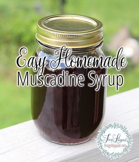 Muscadine Syrup, Grape Syrup Recipe, Muscadine Recipe, Muscadine Jelly, Blueberry Syrup Recipe, Muscadine Wine, Frozen Waffles, Grape Recipes, Homemade Jelly