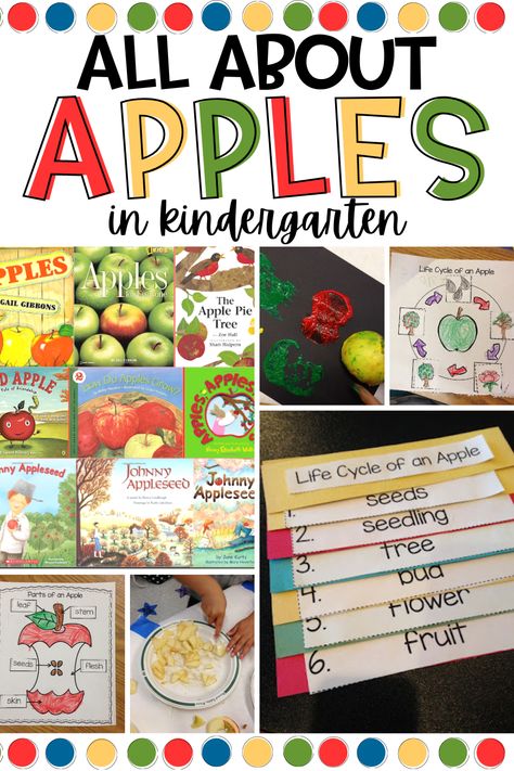 Looking for some fun apple activities you can do when learning all about apples in your kindergarten classroom? In this post, I share my must-do kindergarten apple activities from the apple life cycle, and labeling an apple to making applesauce with my students! Kindergarten Apple Activities, Books About Apples, Apples Unit Kindergarten, Apple Theme Kindergarten, Activities For September, Apple Activities Kindergarten, Apple Theme Classroom, Making Applesauce, Apple Theme Activities