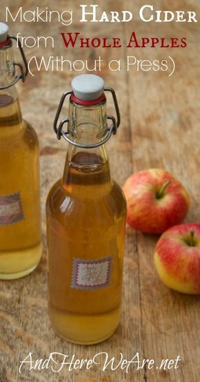 Hard Cider Recipe, Making Hard Cider, Homemade Cider, Cider Press, Homemade Alcohol, Hard Apple Cider, Homemade Liquor, Cider Making, Cider Recipe