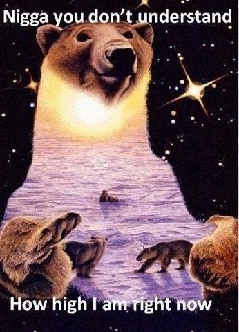 How High Are You, Best Bud, Puff And Pass, E Card, Dont Understand, Brown Bear, New Wave, Reaction Pictures, Mood Pics