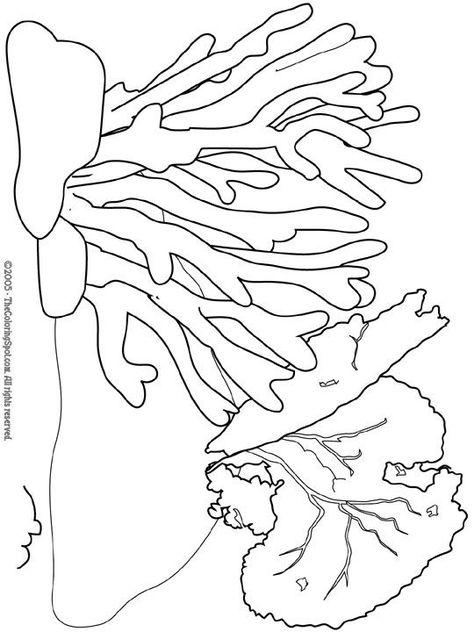 Activity - Coral Reef Bleaching - 7/26/2015 | Land, Sea, and Me Coral Reef Bleaching, Coral Reef Color, Sea Theme, Ocean Themes, Free Printable Coloring, Free Printable Coloring Pages, Ocean Life, Coloring Book Pages, Coloring Pictures