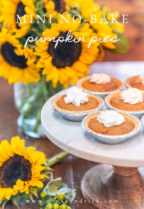 Mini No-Bake Pumpkin Pies | Nina Hendrick Design Co. Fall Baking Apples, Traditional Pumpkin Pie, No Bake Pumpkin, Bake Pumpkin, Easy Holiday Desserts, Pie Filling Recipes, Graham Cracker Crust Pie, No Bake Pumpkin Pie, Mini Pumpkin Pies