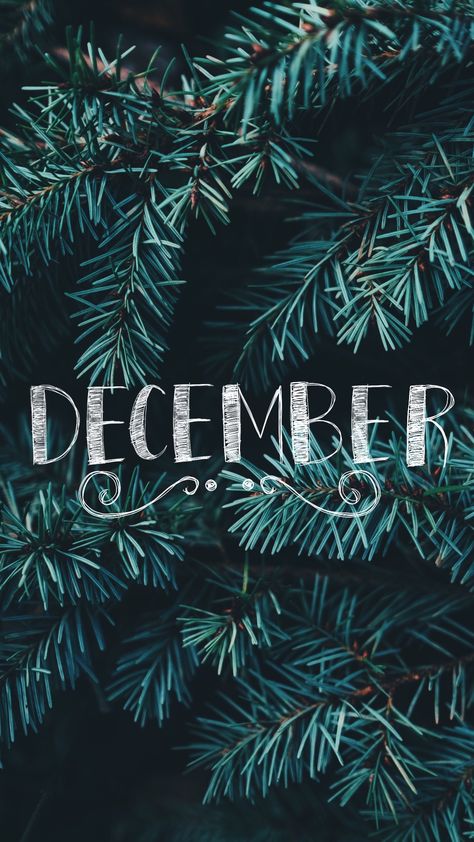 December Pictures Winter, December Asethic Wallpaper, December Is Coming, December Aesthetic Wallpaper Iphone, December Astethic, December Lockscreen, December Typography, December Phone Wallpaper, December Status