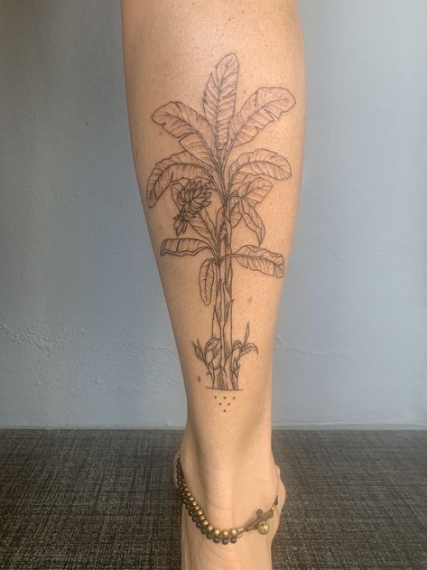 Banana tree tattoo artist IG: @buse__art #legtattoo #calftattoo #tropicaltattoo #bananatree #finelines African Plant Tattoo, Tropical Tree Tattoo, Banana Tree Tattoo Minimalist, Plantain Tattoo, Banana Plant Tattoo, Banana Leaves Tattoo, Mango Tree Tattoo, Fruit Tree Tattoo, Banana Tree Tattoo