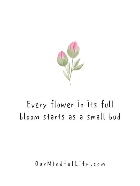 Flowers Beauty Quotes, Qoutes About Flower Bloom, Friend Flower Quotes, Flower Positive Quotes, Flower Motivational Quotes, In Full Bloom Quotes, Bloom Quotes Motivation, Flower Bloom Quotes, Flower Bloom Quote