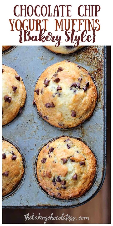 Chocolate Chip Yogurt Muffins {Bakery Style} Whole Wheat Chocolate Chip Muffins, Muffins Bakery Style, Healthy Chocolate Chip Muffins, Choc Chip Muffins, Greek Yogurt Muffins, Yogurt Muffins, Bakery Style Muffins, Greek Yogurt Recipes, Banana Chocolate Chip Muffins