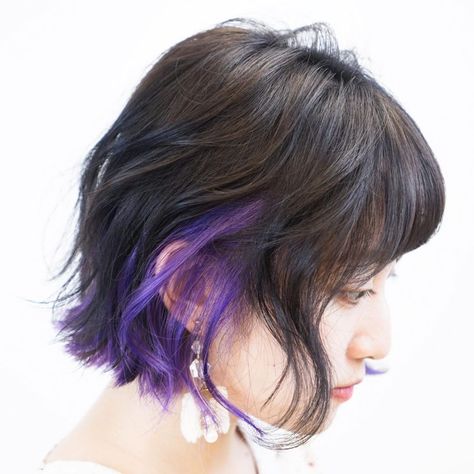 Short Brown Hair With Purple Tips, Fun Bob Hair Colors, Black Purple Hair Short, Half Coloured Hair Underneath, Short Black And Purple Hair, Partially Dyed Hair Short, Peekaboo Hair Color Bob, Short Hair With Purple Highlights, Short Hair Purple Highlights