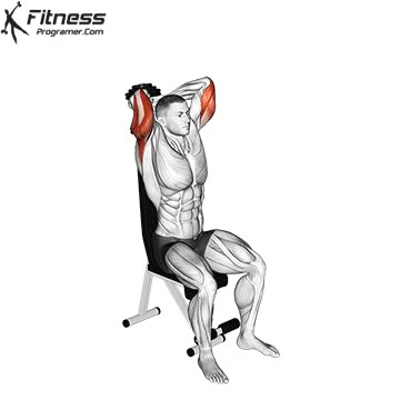 Tricep Workout With Dumbbells, Tricep Workout Gym, Dumbbell Tricep, Best Tricep Exercises, Triceps Extension, Triceps Exercises, Tricep Exercises, Tricep Workout, Push Workout