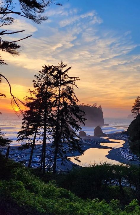 Neah Bay Washington, Rialto Beach Washington, Washington State Coast, Ruby Beach Washington, Olympic Peninsula Washington, Pnw Beach, Neah Bay, Washington Beaches, Washington Island