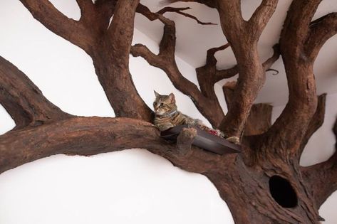 Robert Rogalski Builds Cat Tree Sculpture Inspired by Tolkien's Ents Indoor Fake Tree, Custom Cat Trees, Indoor Tree, Fake Trees, Gorgeous Cats, Whimsical Cats, Great Cat, Tree Sculpture, Custom Cat