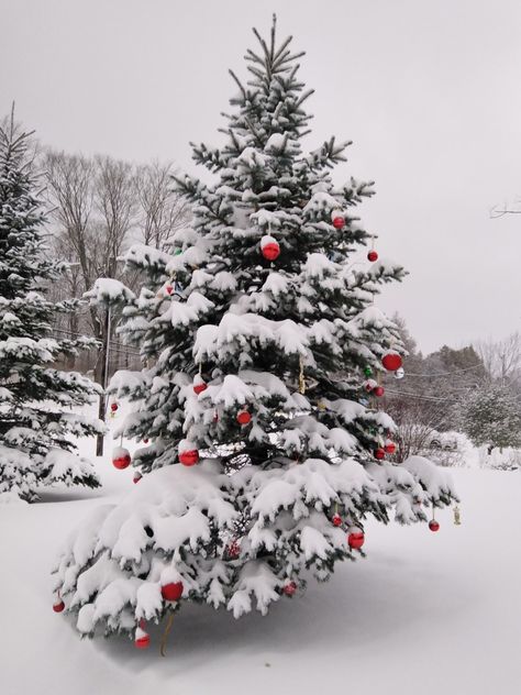 White Christmas Snow, Xmas Aesthetic, Vintage Christmas Images, Aesthetic Winter, Snowy Winter, Holiday Wallpaper, Wallpaper Iphone Christmas, Merry Christmas To You, Christmas Wonderland