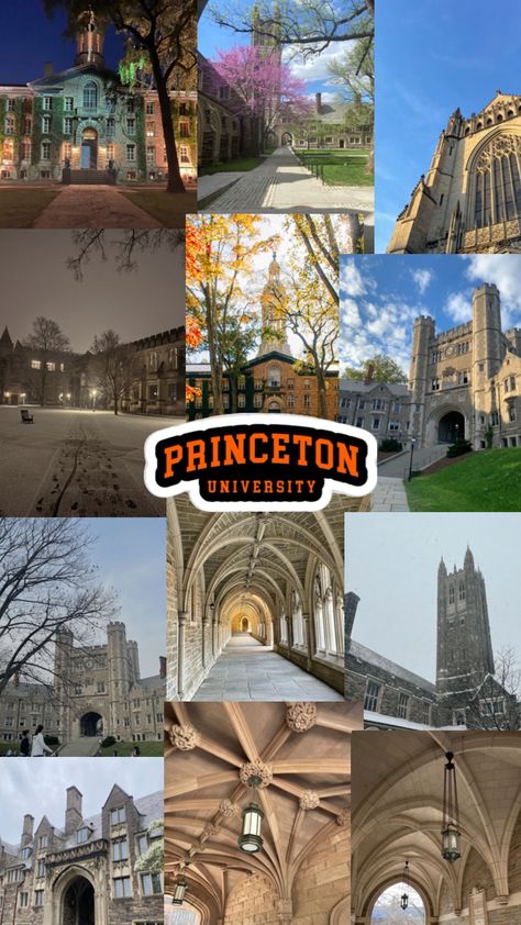 #princeton #princetonuniversity #ivy #ivys #league #ivyleagueaesthetic #ivyaesthetic #study #studys #major #majors #fyp #foru #forupage #foryou #foryoupage #trend #trends #trending #virwl #virals #cleangirlvibe Ivy University, Ivy League Aesthetic, University Inspiration, Ivy League Colleges, Seton Hall University, Ivy League Schools, Bts Fanfiction, Romanticizing School, Medical School Inspiration