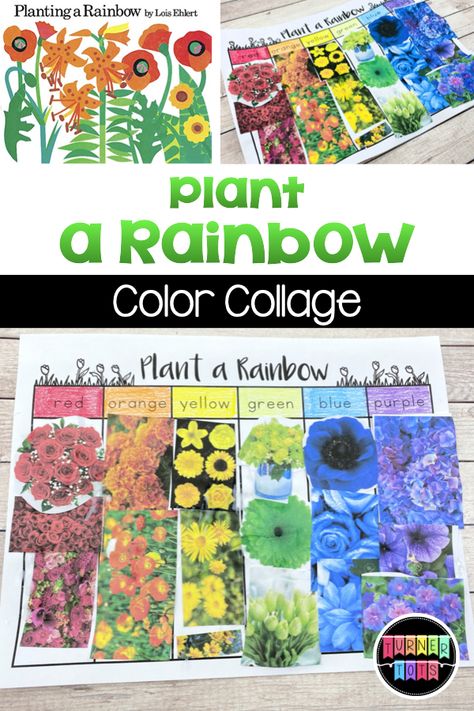 Plant And Gardening Preschool, Flower Books Preschool, May Prek Themes, Preschool Plants And Flowers Theme, Planting Unit For Preschool, Growth Preschool Activities, Gardening Daycare Theme, Spring Planning Preschool, Planting A Rainbow Craft