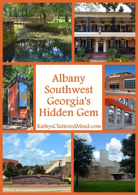 Albany - Southwest Georgia's Hidden Gem Albany - Southwest Georgia's Hidden Gem Find out where to stay, eat and have fun #Georgia #VisitAlbanyGA #Travel Albany Ga Things To Do, Explore Georgia, Cluttered Mind, Albany Georgia, Beautiful Vacation Spots, Writing Essays, Visit Georgia, Georgia Vacation, Pack Up And Go