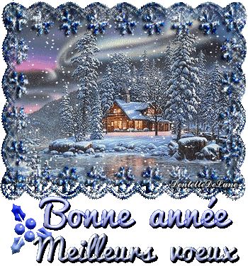 gif-bonne-année-meilleurs-vœux-2019-21 Citations Souvenirs, Citation Souvenir, Big Cats Art, Winter Magic, New Years Day, Happy Birthday Greetings, Christmas Images, Nouvel An, Birthday Greetings