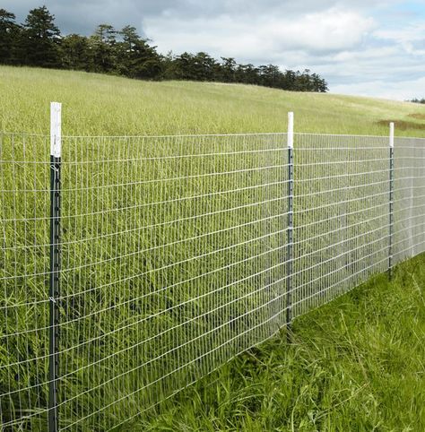 Temporary Fence For Dogs, Cheap Privacy Fence, Diy Dog Fence, Fence Balcony, Diy Gate, Balcony Fence, Chicken Wire Fence, Design Fence, Fence Options