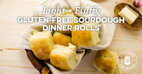 Light And Fluffy Gluten-Free Sourdough Dinner Rolls Gf Dinner Rolls, Sourdough Dinner, Sourdough Dinner Rolls, Gluten Free Sourdough Starter, Gf Dinner, Sourdough Rolls, Gluten Free Bagels, Gluten Free Sourdough, Dinner Rolls Recipe