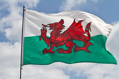 Y Ddraig Goch: The Story of the Welsh Red Dragon Pt 1 Y Ddraig Goch, Battle Standard, Welsh Ancestry, Flag Aesthetic, 6 Nations, The Red Dragon, Wales Flag, Welsh Language, Celtic Nations