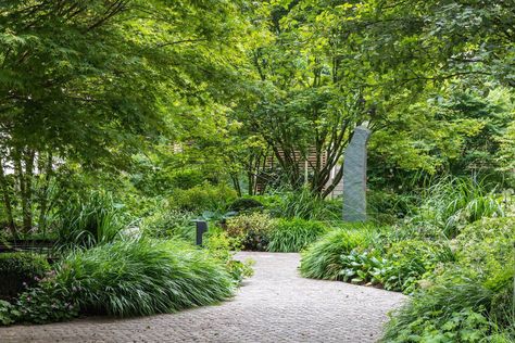 Soft Landscaping, Pool Plants, Courtyard Design, Residential Development, Holland Park, Landscape Construction, Raised Planter, Cool Landscapes, Green Garden