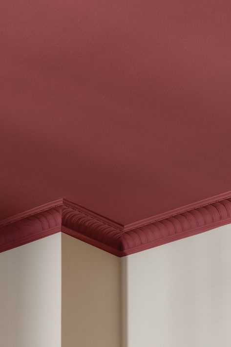 Ceiling painted in 'Red Spider'. Red Painted Ceiling, Dark Red Ceiling, Coloured Ceiling Kitchen, Red Ceiling Bathroom, Dark Pink Ceiling, Coloured Ceiling Hallway, Red Ceiling Bedroom, Pink Walls And Ceiling, Muted Wall Colors