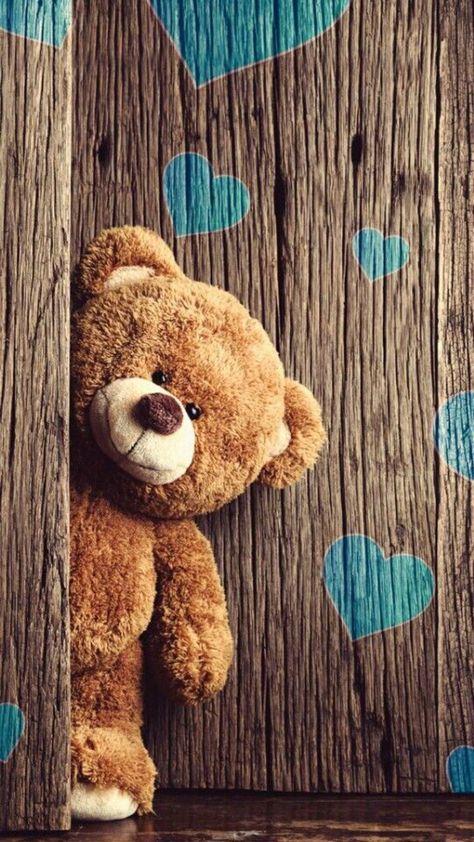 Bear Wallpaper, Teddy Bear, Wallpapers, Flowers, Wall