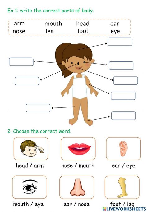 Parts Of Our Body Worksheet, Body Parts Worksheet For Grade 1, Body Parts For Kids Activities, Body Parts Worksheet For Kids, My Body Worksheets For Kids, Parts Of Body For Kids, Part Of Body Worksheet, Parts Of The Body For Kids, Body Worksheets For Kids