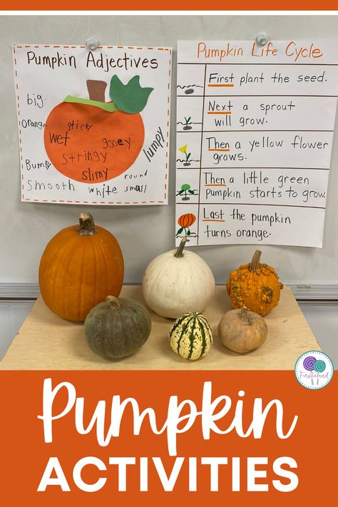 Third Grade Pumpkin Activities, Pumpkin Activity First Grade, Inside A Pumpkin Activity, Pumpkin Taste Test Kindergarten, From Seed To Pumpkin Activities, Pumpkin Life Cycle Lesson Plan, Pumpkin Activities Grade 2, Kindergarten Pumpkin Investigation, Life Cycle Of A Pumpkin Kindergarten