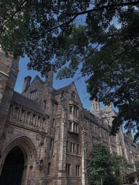 yale university ivy league aesthetic dark academia Ivy League Academia Aesthetic, The Ivies Book Aesthetic, The Ivy League Aesthetic, Ivy University Aesthetic, Iv League Aesthetic, College University Aesthetic, Ivy League Vision Board, Ivy League University Aesthetic, Ivy College Aesthetic