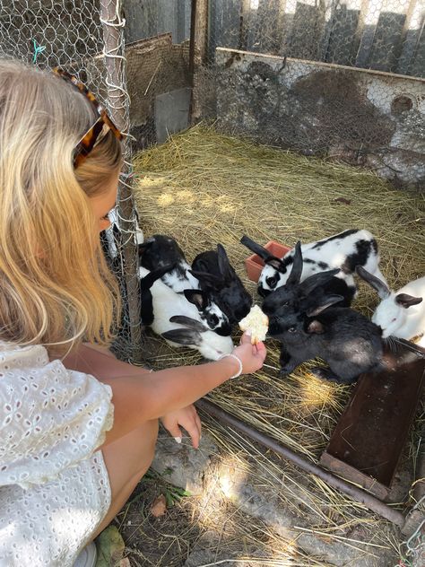 Bunny farm, aesthetic rabbit farm, cute bunny inspo pic, pinterest bunnies, feeding rabbits aesthetic, farm pic inspo Bunny Farm Aesthetic, Pet Rabbit Aesthetic, Petting Zoo Farm Aesthetic, Animal Farm Aesthetic, Rabbits Aesthetic, Farm Bunnies, Mini Farm Animals, Aesthetic Rabbit, Bunny Owner