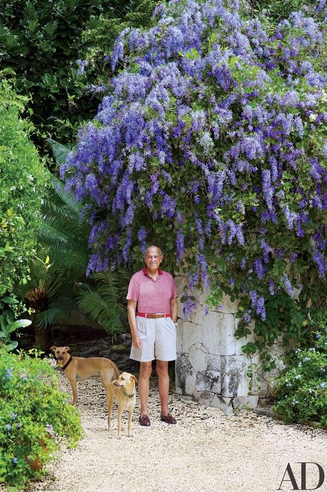 Purple petrea in bloom on a stone wall shades Oscar de la Renta and two of his dogs | archdigest.com Dominican Republic Beaches, Tattoo Plant, Paradise Found, Pergola Kits, Pergola Designs, Celebrity Houses, Lush Garden, Punta Cana, Tropical Garden