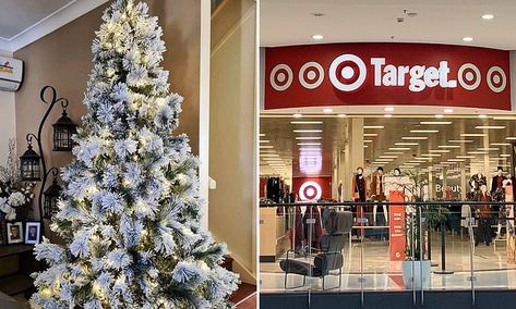 Target re-launches its famous pre-lit snowy Aspen Christmas trees Aspen Christmas Tree, Aspen Christmas, Christmas Tree Target, Christmas Target, Christmas Tree Store, Different Christmas Trees, Christmas Tree Pictures, Pre Lit Christmas Tree, Snowy Trees