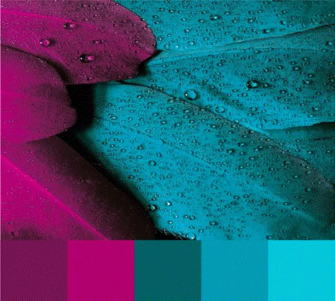 I love this bright and cheerful magenta, burgundy, green and blue color palette - perhaps for a more traditional brand that wants a modern and friendly twist?   #brandcolor #colorinspiration #colorpalette Viva Magenta Colour Palette, Teal Fuchsia Color Palette, Turquoise And Fuschia, Majenta Color Pallete, Magenta Teal Color Palette, Dark Magenta Color Palette, Fusha Color Palette, Blue Magenta Color Palette, Teal And Magenta Color Palette