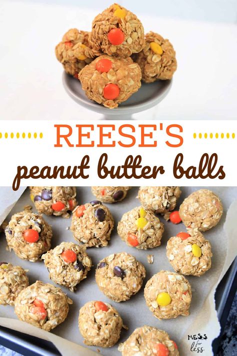 Reese Protein Balls, Reeses Protein Bites, Reese’s Protein Balls, Reeses Pieces Protein Balls, Reeces Pieces Peanut Butter Ball, Reeces Pieces Recipes, Reeses Pieces Dessert Recipes, Peanut Butter Protein Balls No Bake, Herbalife Protein Balls Recipes