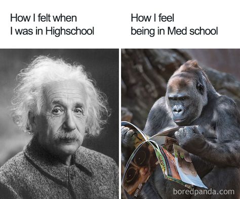 High School vs. Med School Medical Student Joke, Med School Memes, Med Student Humor, Medical Student Humor, Medical School Humor, Medical Jokes, Medical Memes, Need A Laugh, Student Jokes