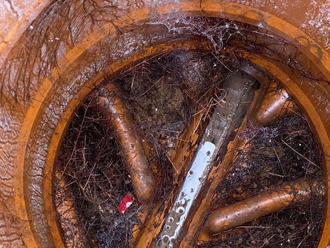 Blocked drains – cleared in a thirty-minute window?

Whilst many drainage firms, including ours, commit to clearing a blocked drain in a thirty-minute window, here at ASL Limited, we believe it is also prudent to spend a little more time checking the other drains. Drain Repair, Guildford Surrey, Picture Tree, Sewage System, Hampshire, Drain, Repair